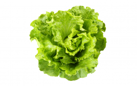 Simply Fresh Romaine   Box  1 pcs